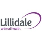 lillidale_ltd__logo