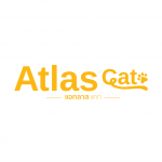Atlas cat square