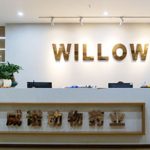 Willow Holding Limited